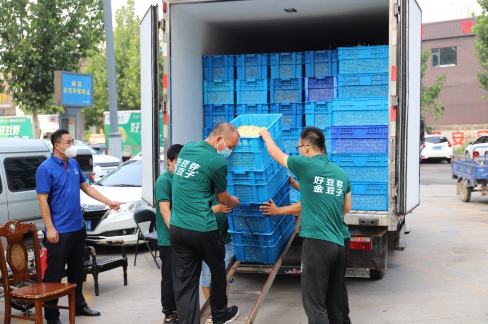 抗擊疫情 愛心企業(yè)捐贈(zèng)50萬斤芽苗菜