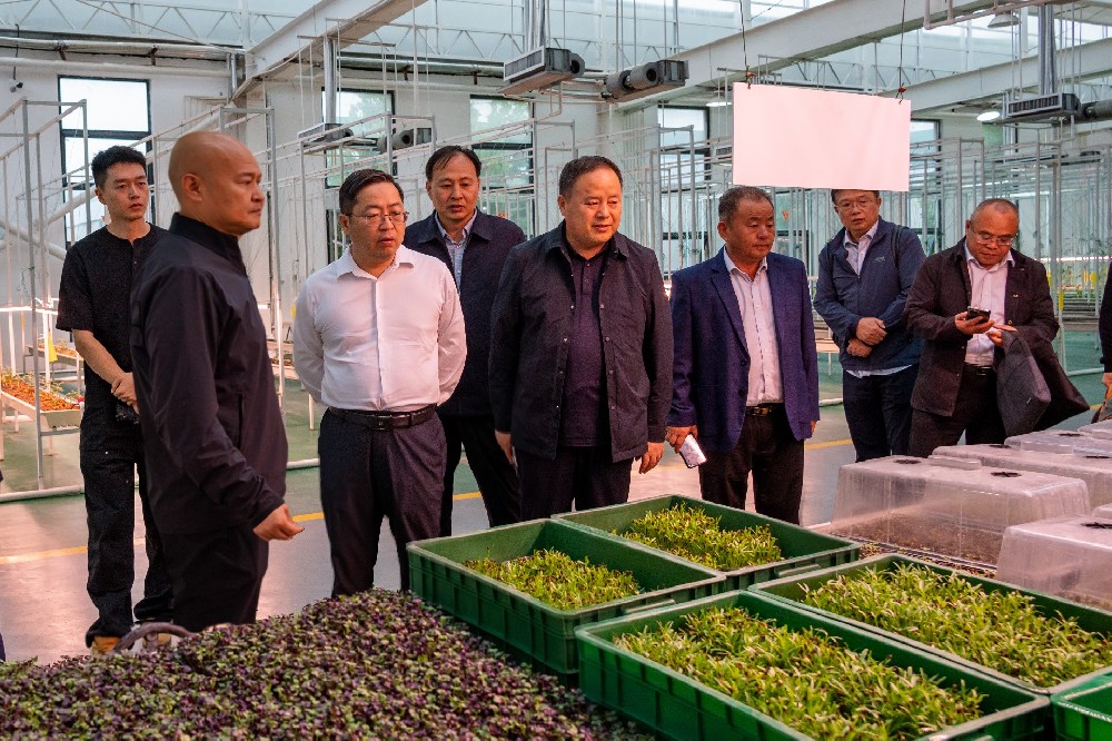 國家大豆產(chǎn)業(yè)專家團(tuán)赴金豆子集團(tuán)考察調(diào)研，共同探討大豆產(chǎn)業(yè)鏈發(fā)展